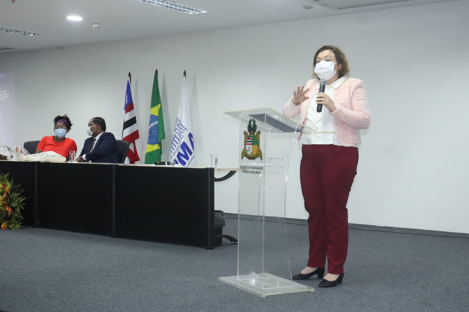Ações do TJMA no combate à violência contra mulheres é reconhecido pelo Cocevid