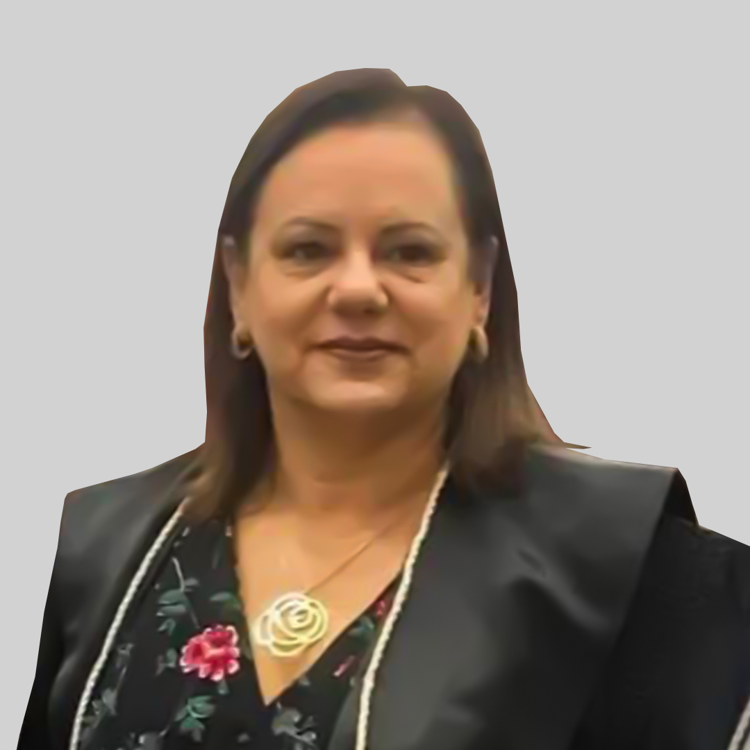 DESEMBARGADORA ANA LUCIA LOURENÇO (TJPR)
